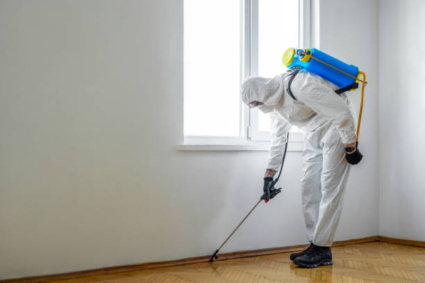 Wasp Removal Services in Oceanport, NJ